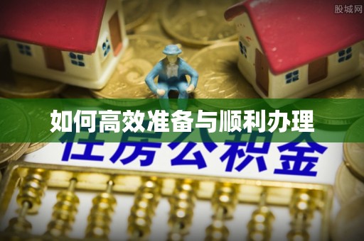 杂多如何高效准备与顺利办理