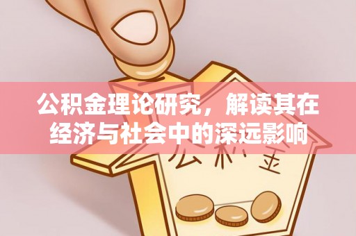 杂多公积金理论研究，解读其在经济与社会中的深远影响