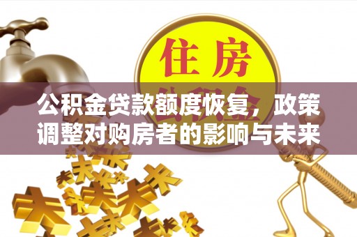 杂多公积金贷款额度恢复，政策调整对购房者的影响与未来展望