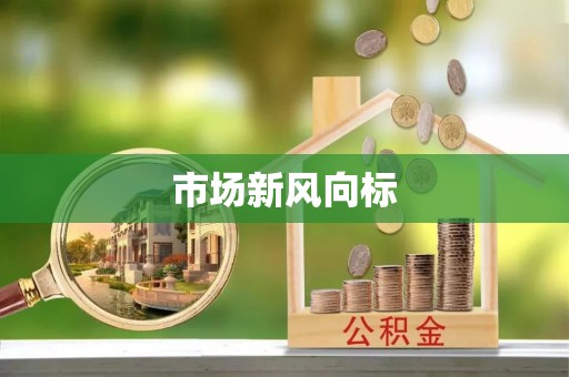 杂多市场新风向标