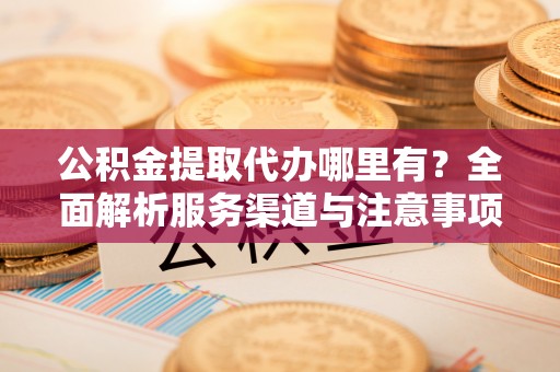 杂多公积金提取代办哪里有？全面解析服务渠道与注意事项