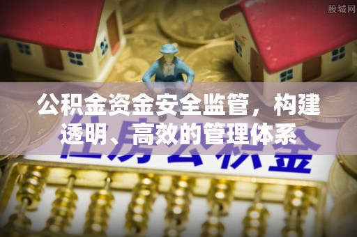 杂多公积金资金安全监管，构建透明、高效的管理体系