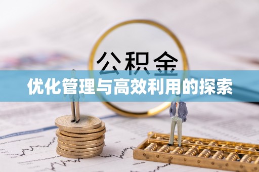杂多优化管理与高效利用的探索