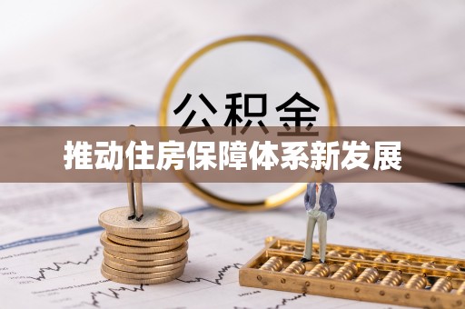 杂多推动住房保障体系新发展