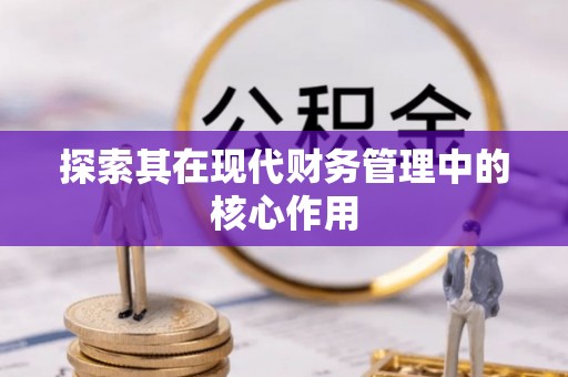 杂多探索其在现代财务管理中的核心作用