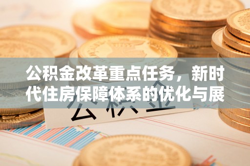 杂多公积金改革重点任务，新时代住房保障体系的优化与展望