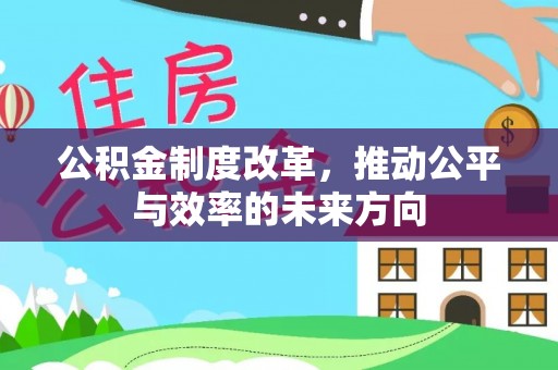 杂多公积金制度改革，推动公平与效率的未来方向