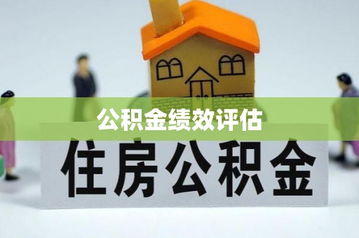 杂多公积金绩效评估