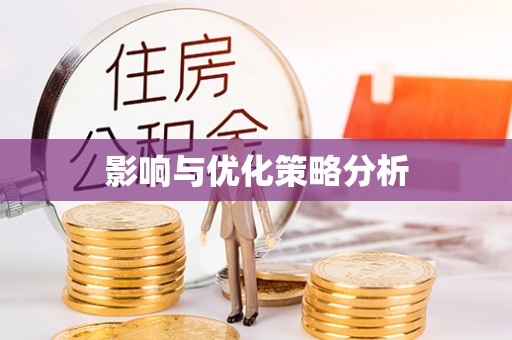 杂多影响与优化策略分析