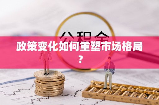 杂多政策变化如何重塑市场格局？