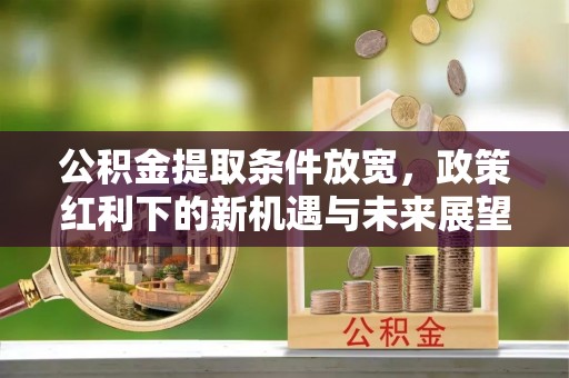杂多公积金提取条件放宽，政策红利下的新机遇与未来展望