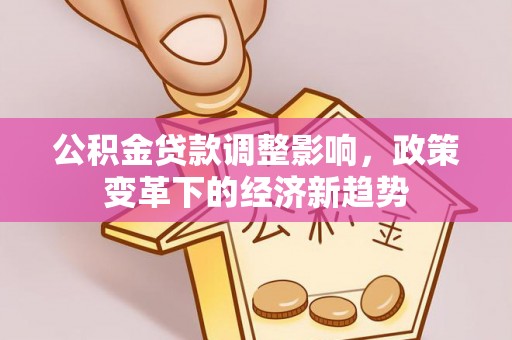 杂多公积金贷款调整影响，政策变革下的经济新趋势