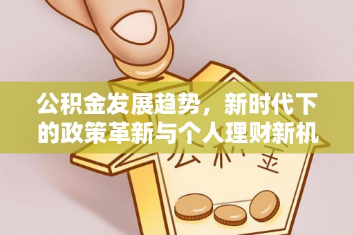 杂多公积金发展趋势，新时代下的政策革新与个人理财新机遇