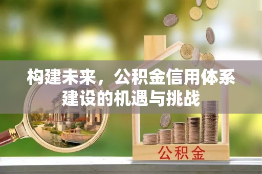 杂多构建未来，公积金信用体系建设的机遇与挑战
