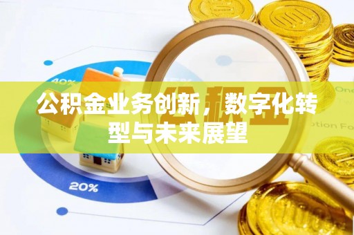 杂多公积金业务创新，数字化转型与未来展望