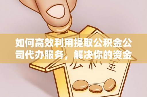 杂多如何高效利用提取公积金公司代办服务，解决你的资金难题