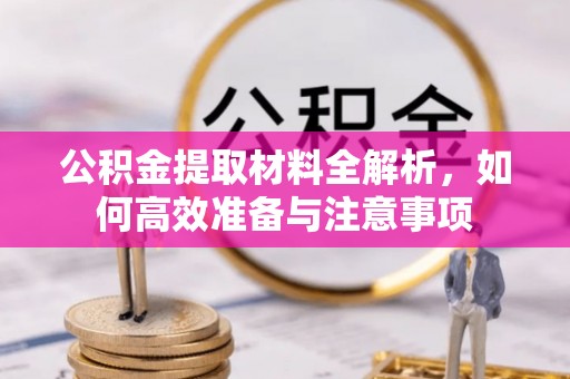 杂多公积金提取材料全解析，如何高效准备与注意事项