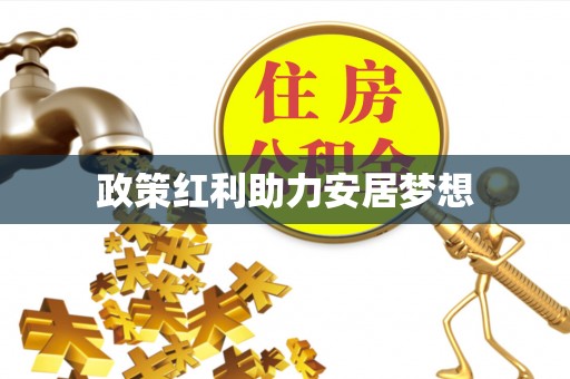 杂多政策红利助力安居梦想