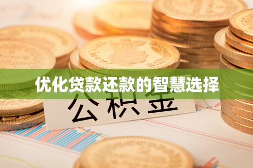 杂多优化贷款还款的智慧选择