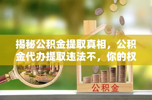 杂多揭秘公积金提取真相，公积金代办提取违法不，你的权益如何保障？