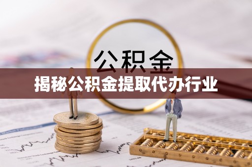 杂多揭秘公积金提取代办行业
