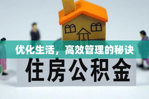 杂多优化生活，高效管理的秘诀