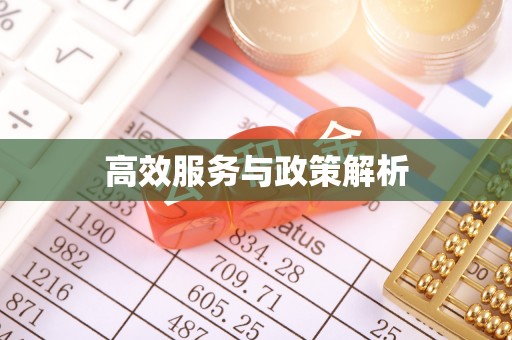 杂多高效服务与政策解析