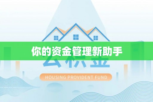 杂多你的资金管理新助手