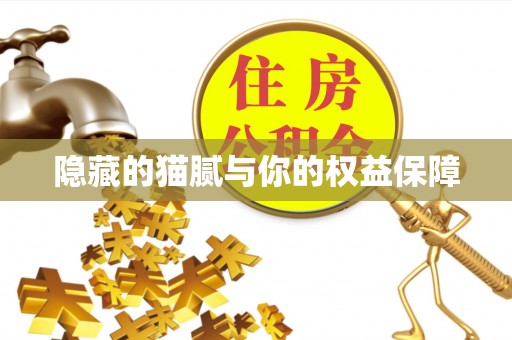 杂多隐藏的猫腻与你的权益保障
