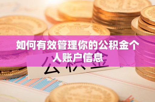 杂多如何有效管理你的公积金个人账户信息