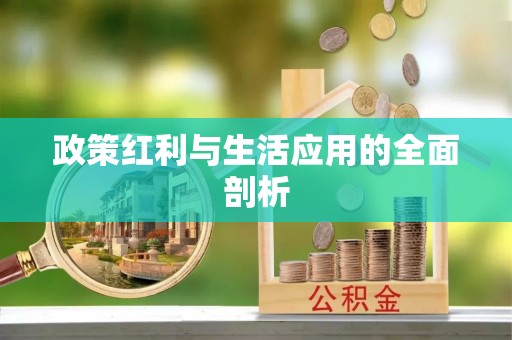 杂多政策红利与生活应用的全面剖析
