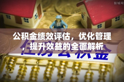 杂多公积金绩效评估，优化管理，提升效益的全面解析