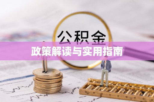 杂多政策解读与实用指南