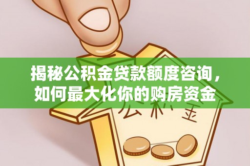 杂多揭秘公积金贷款额度咨询，如何最大化你的购房资金