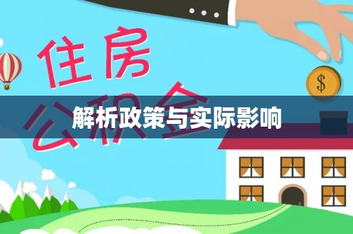 杂多解析政策与实际影响