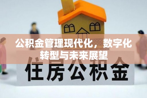 杂多公积金管理现代化，数字化转型与未来展望
