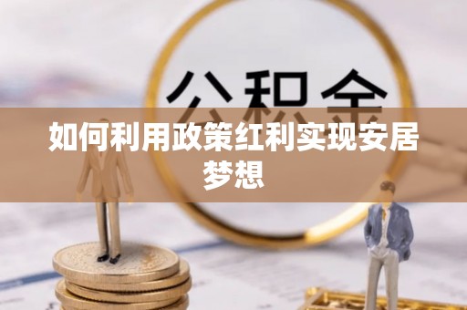 杂多如何利用政策红利实现安居梦想