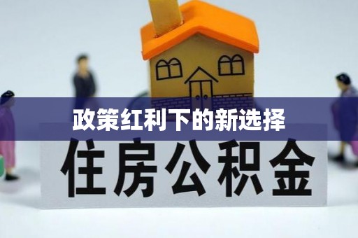 杂多政策红利下的新选择