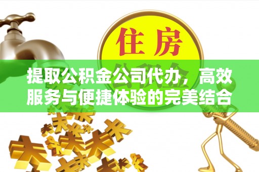 杂多提取公积金公司代办，高效服务与便捷体验的完美结合