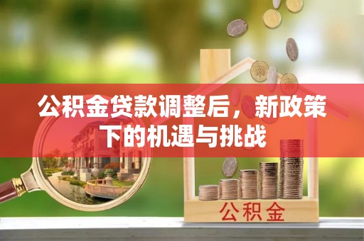 杂多公积金贷款调整后，新政策下的机遇与挑战