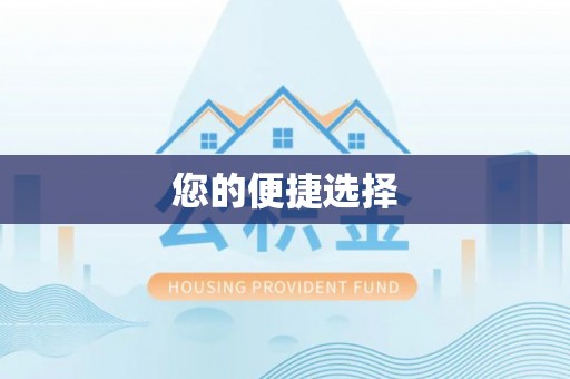 杂多您的便捷选择