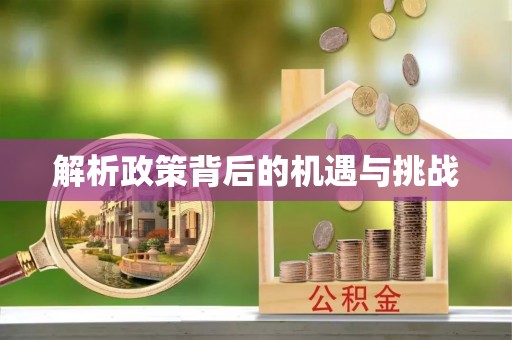 杂多解析政策背后的机遇与挑战
