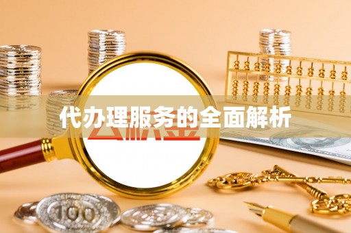 杂多代办理服务的全面解析