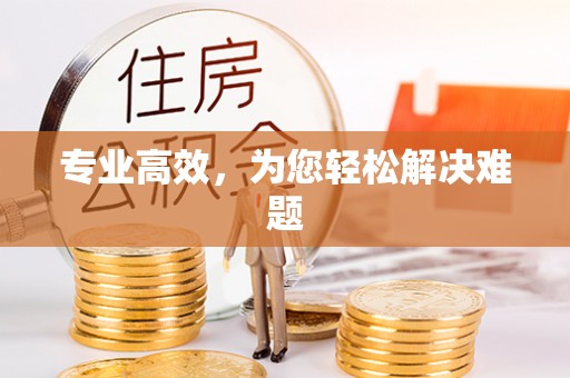 杂多专业高效，为您轻松解决难题