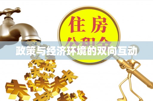 杂多政策与经济环境的双向互动