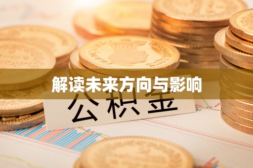 杂多解读未来方向与影响