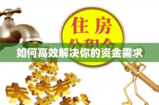 杂多如何高效解决你的资金需求