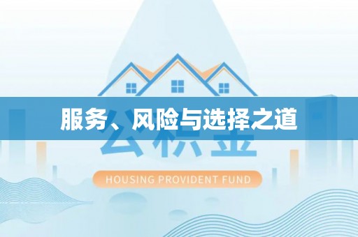 杂多服务、风险与选择之道