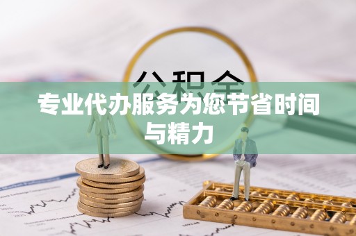 杂多专业代办服务为您节省时间与精力