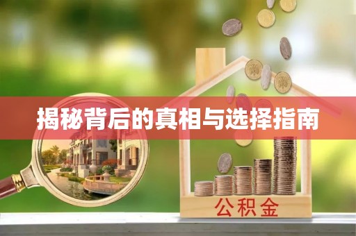 杂多揭秘背后的真相与选择指南